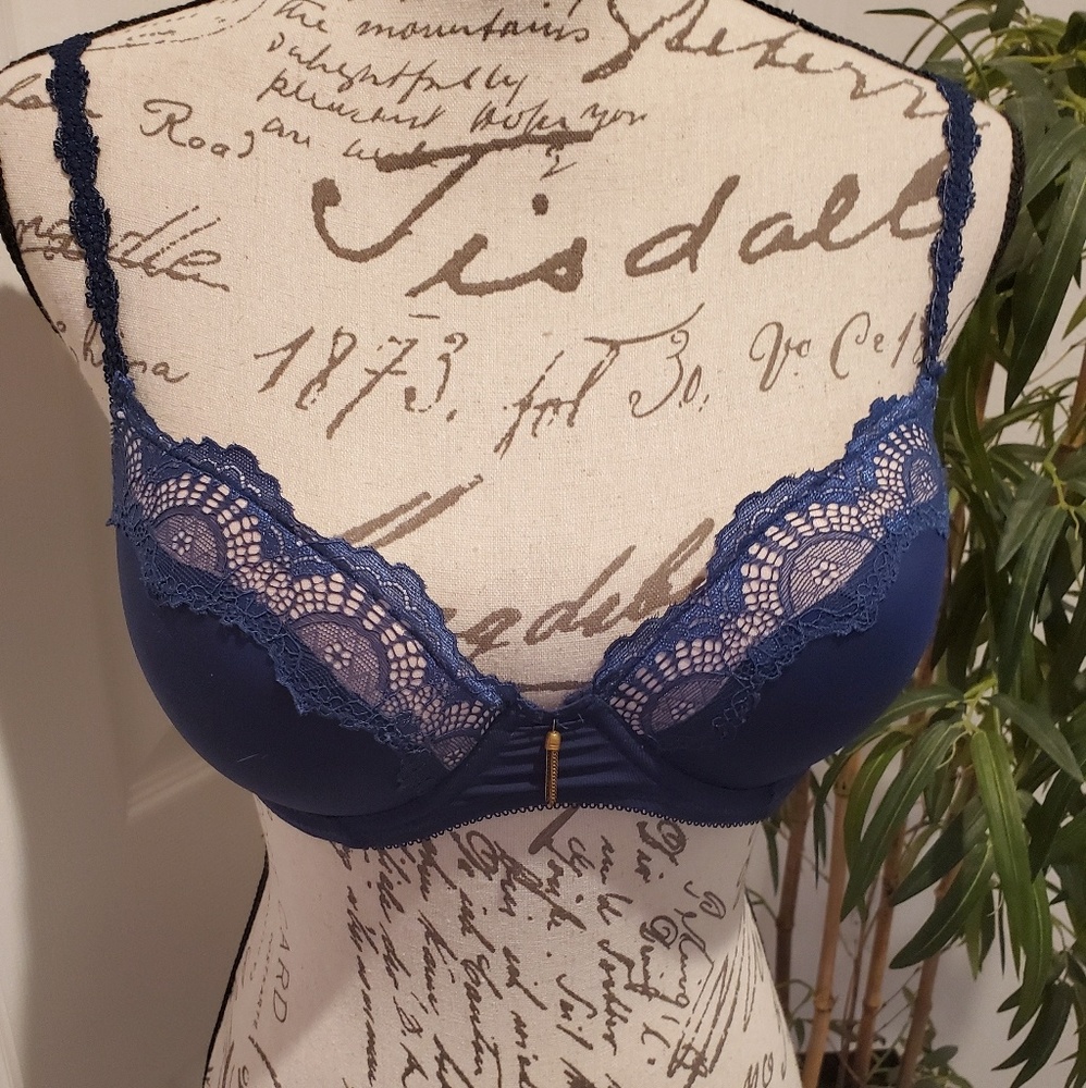 Daisy Fuentes Push Up Bra NWT